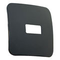 Gun Metal