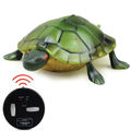 Tortoise(Green)