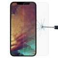 For iPhone 13 Pro Max (1 PC)