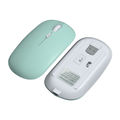 Bluetooth + 2.4G(Mint Green)