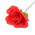 Rose Magic Props