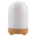 Capsule Shape Humidifier