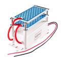 AC 220V 10G