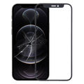 For iPhone 12 Pro