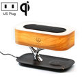 US Plug