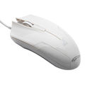 119 White