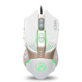 V5  (White)