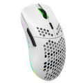 T66(White)