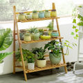 3-Tier Width: 70cm(Apricot)