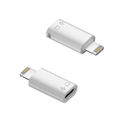 8 Pin to USB-C / Type-C