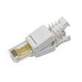 Cat6