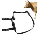 For Cattle