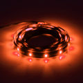 Orange Light