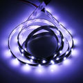 Purple Light