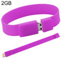 2GB (Purple)