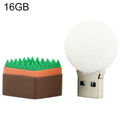 16GB