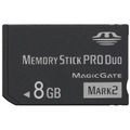 8GB