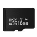 16GB Naked Card