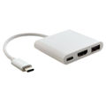 Type-C+USB3.0 (W)