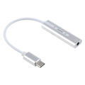 USB Type-C Port Silver