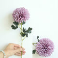 Dark Purple