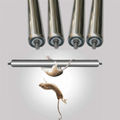 Household Mousetrap