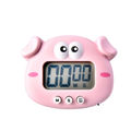 Pink Pig