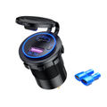 Blue Light With Terminal