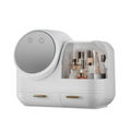 White LED Model