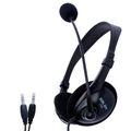 Dual Plug