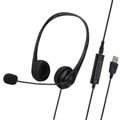 Double Ear Black Separation USB