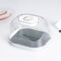 Quick Thaw Tray(Gray)