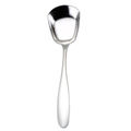 Stainless Steel Color
