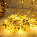3m 30 Lights