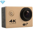 F60 (Gold)