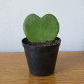 Non Decorative Black Pot (7.5cm)
