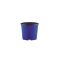 Blue Ultramarine