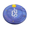 Blue Snake