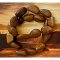 Brown Jasper