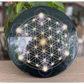 Flower of Life Circle