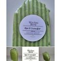Aloe & Cucumber
