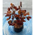 Carnelian