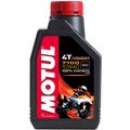 1L