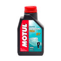 1L