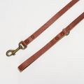 Brown Leather Lead
