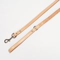 Natural Colour Leather Lead
