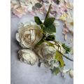 Cream White