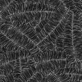Carbon