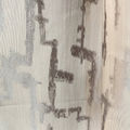 Charcoal