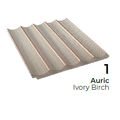 Ivory Birch